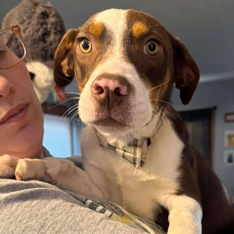 Romeo & Juliet thumbnail 3