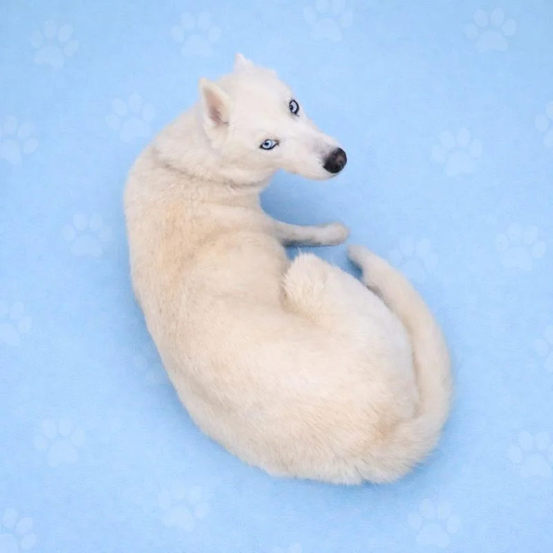 Snow White thumbnail 3