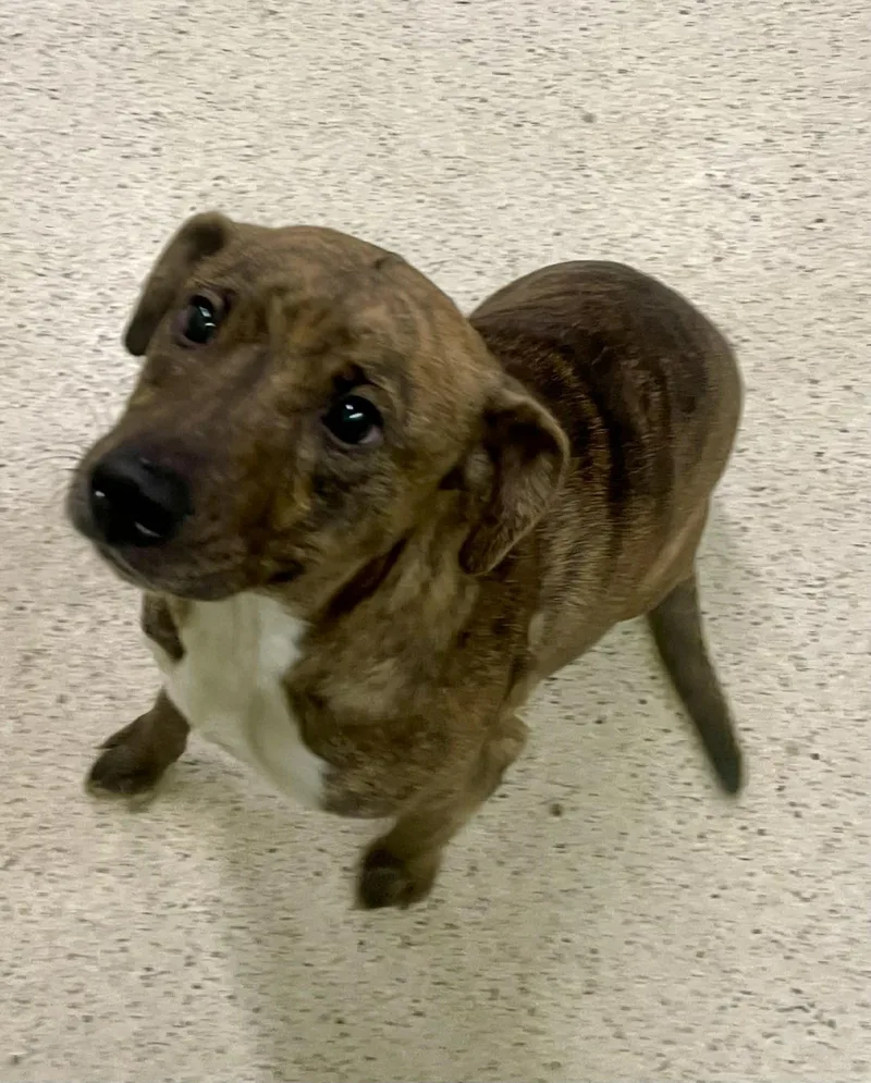 Marabell thumbnail 2