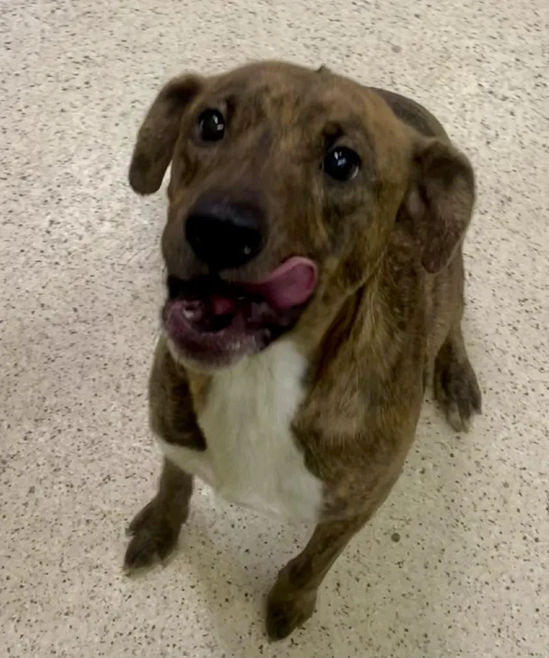 Marabell thumbnail 4