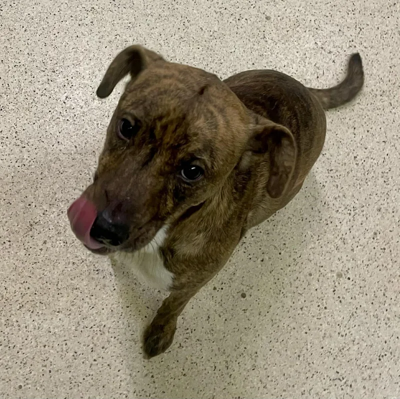 Marabell thumbnail 5