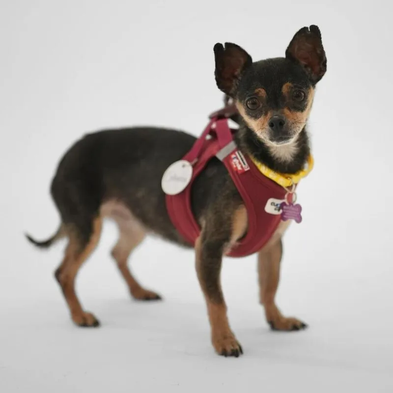 Catherine thumbnail 2