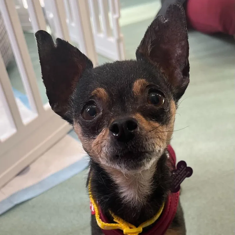 Catherine thumbnail 3