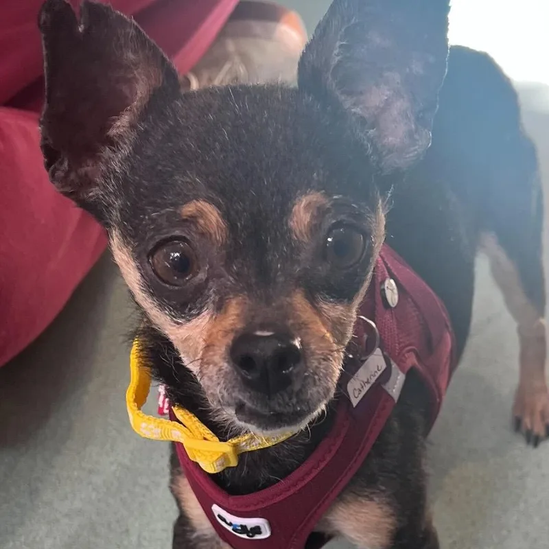 Catherine thumbnail 4