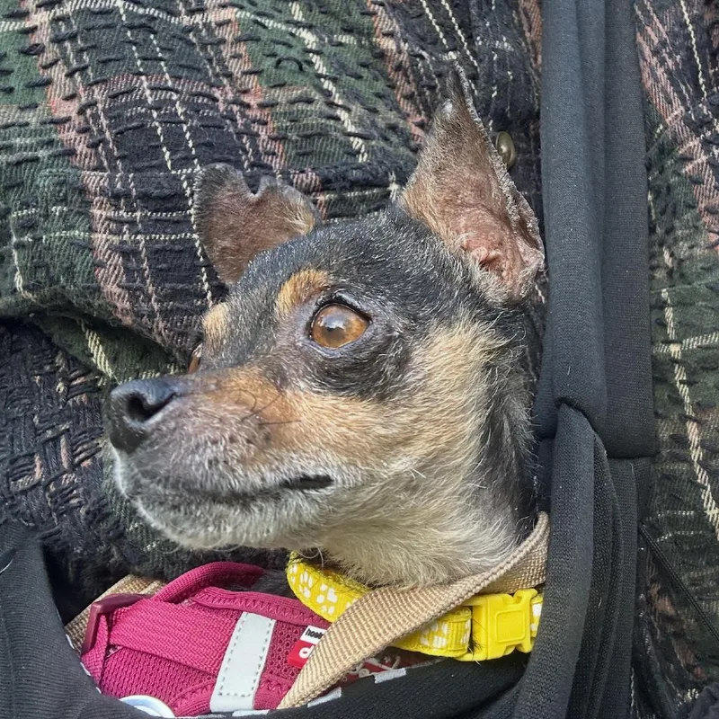 Catherine thumbnail 6