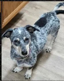 Talaya Orthw thumbnail 4