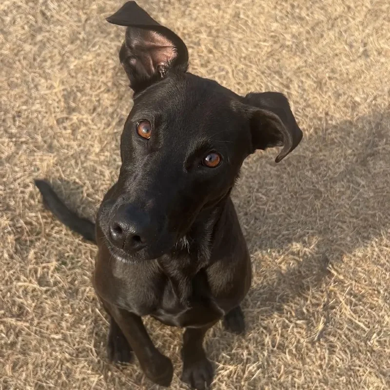 Valentina thumbnail 2