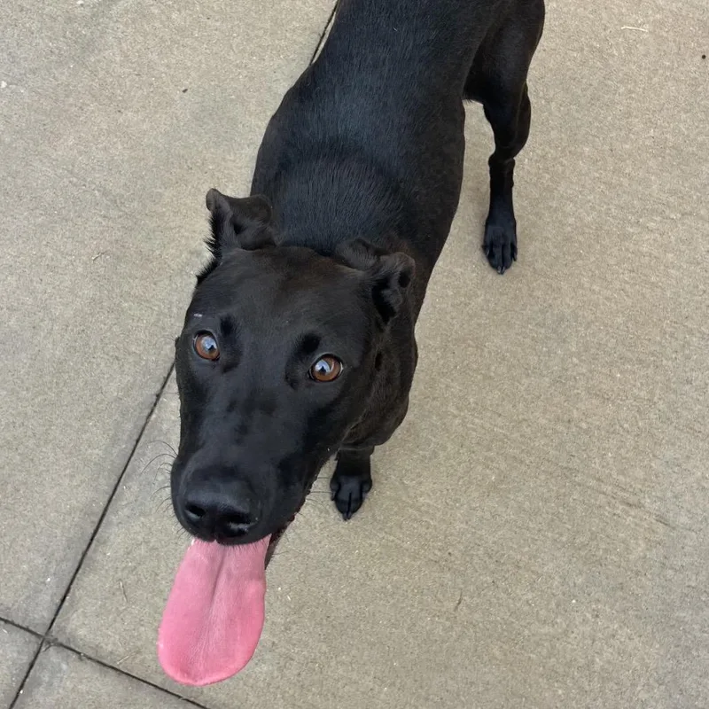 Valentina thumbnail 3