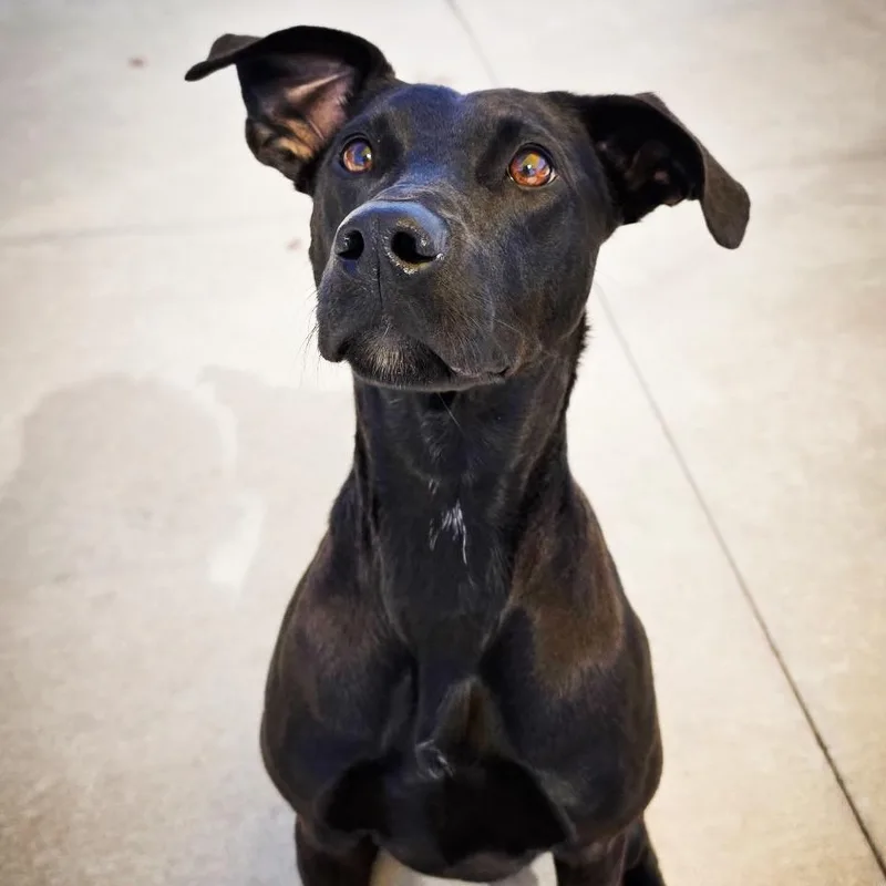 Valentina thumbnail 4