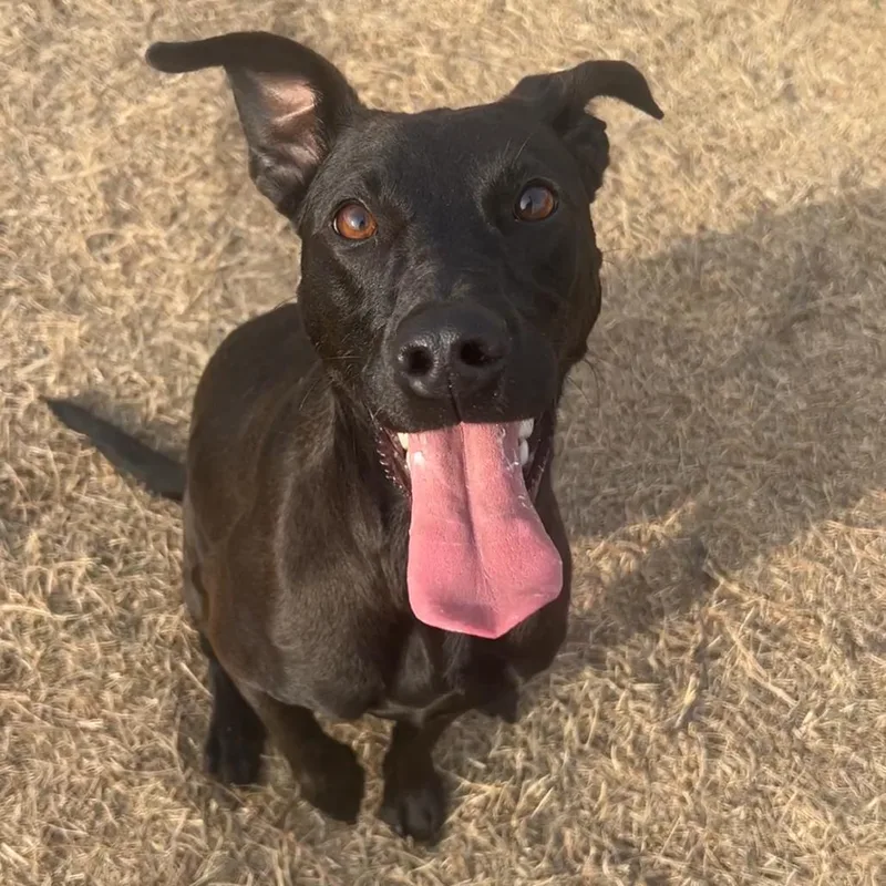 Valentina thumbnail 5