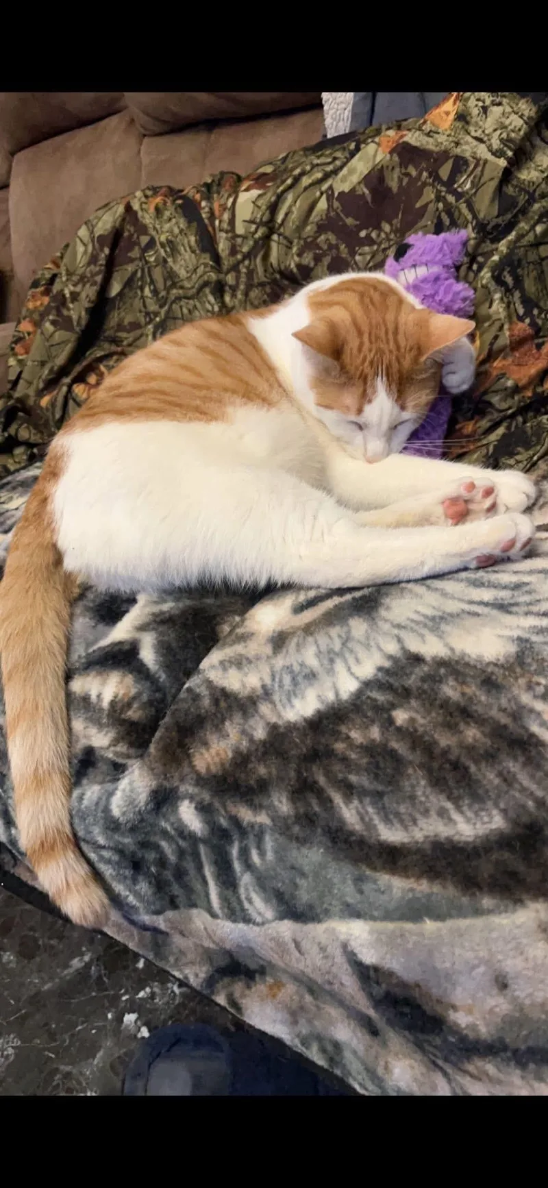 William And Keanu thumbnail 2