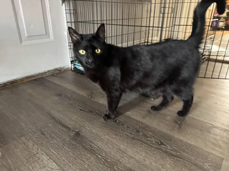 William And Keanu thumbnail 3