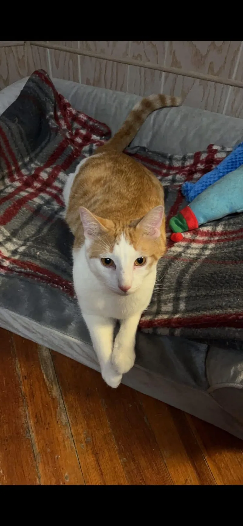 William And Keanu thumbnail 4