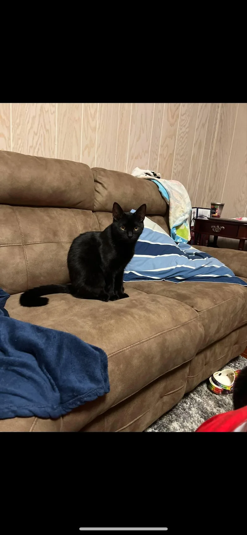 William And Keanu thumbnail 5