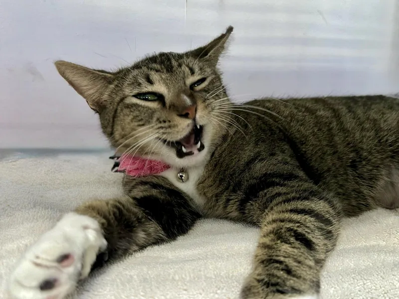 Precious thumbnail 2