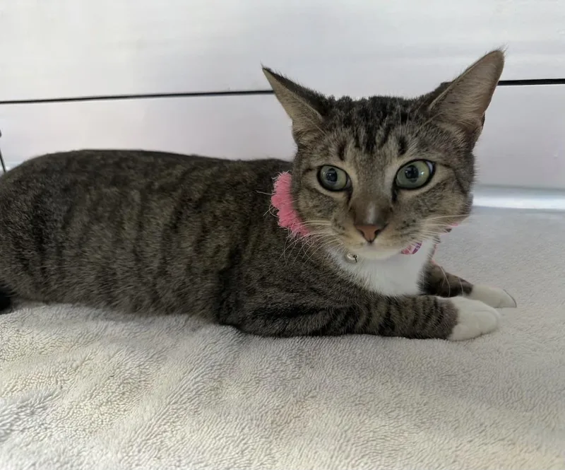 Precious thumbnail 3