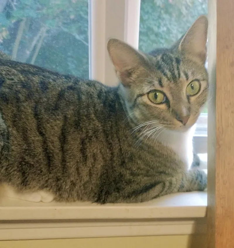 Precious thumbnail 5