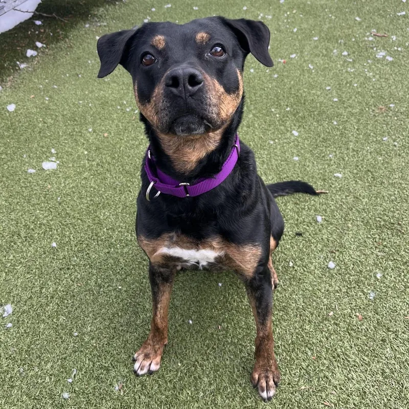 Precious thumbnail 2