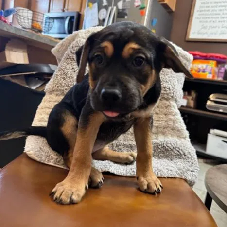 Sporty Spice thumbnail 2