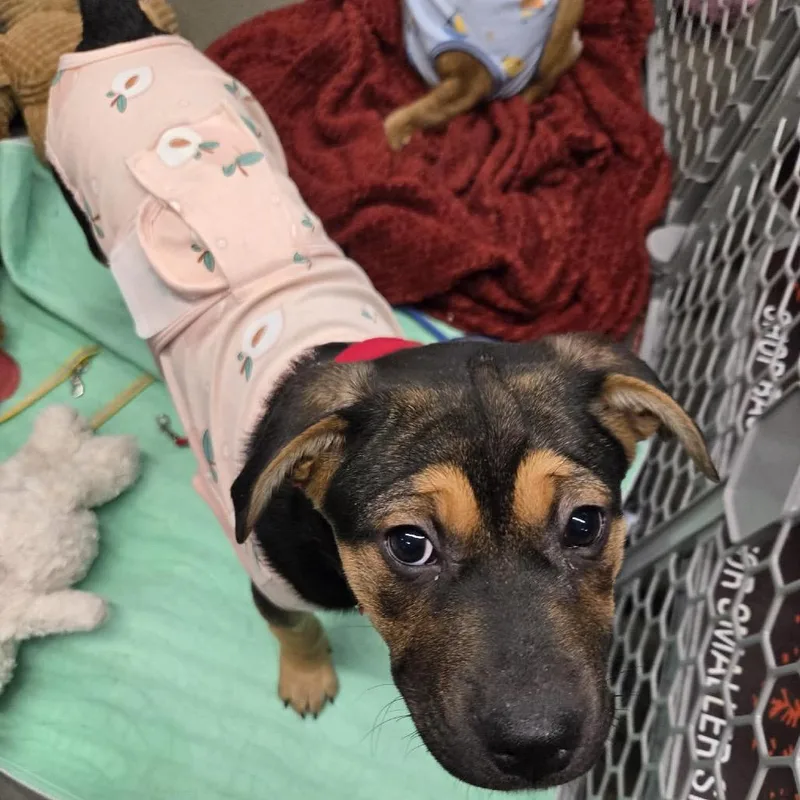 Sporty Spice thumbnail 3