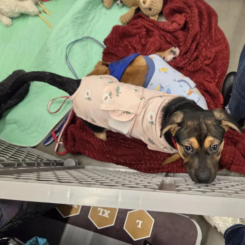 Sporty Spice thumbnail 5