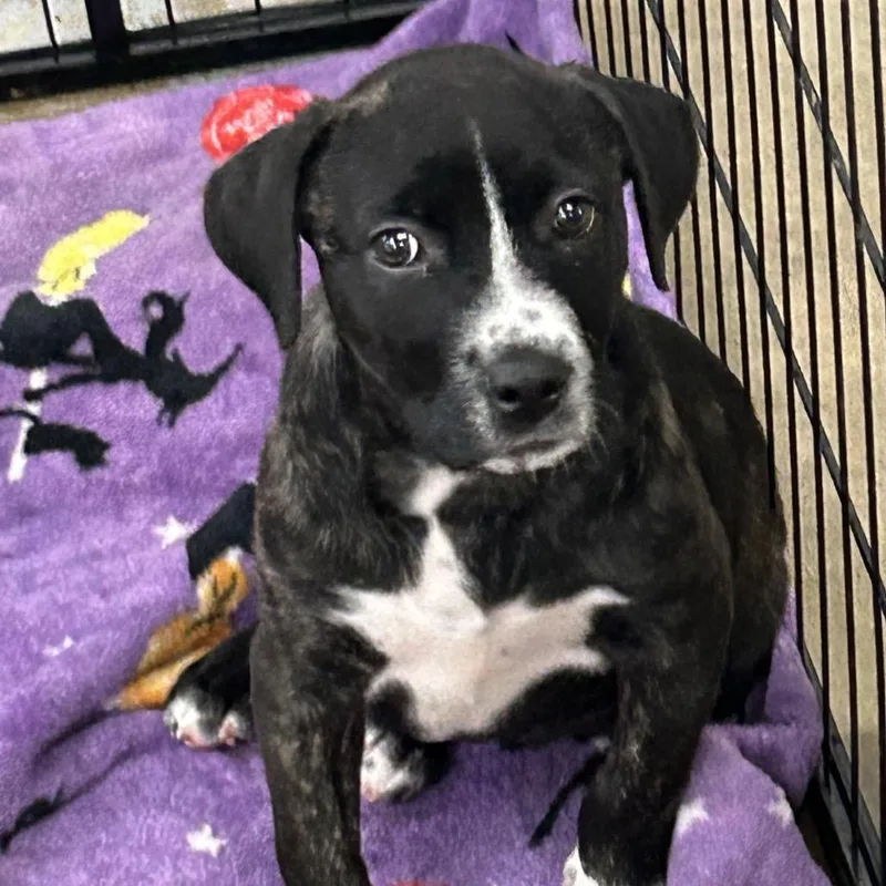 Rainbow Brite thumbnail 3