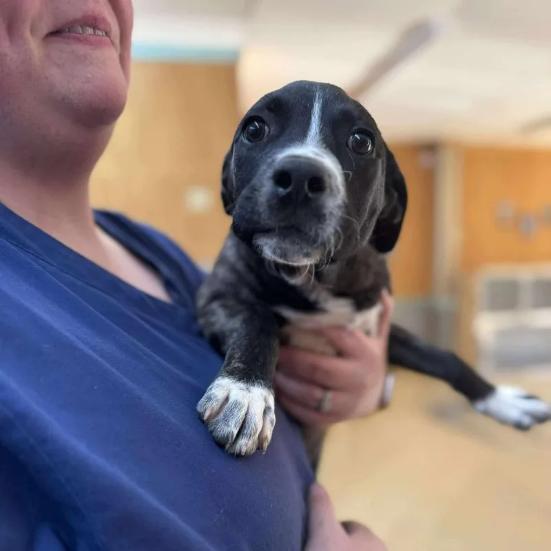 Rainbow Brite thumbnail 4