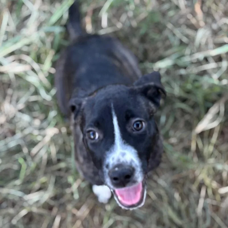 Rainbow Brite thumbnail 6