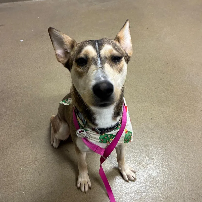 Snow White thumbnail 2