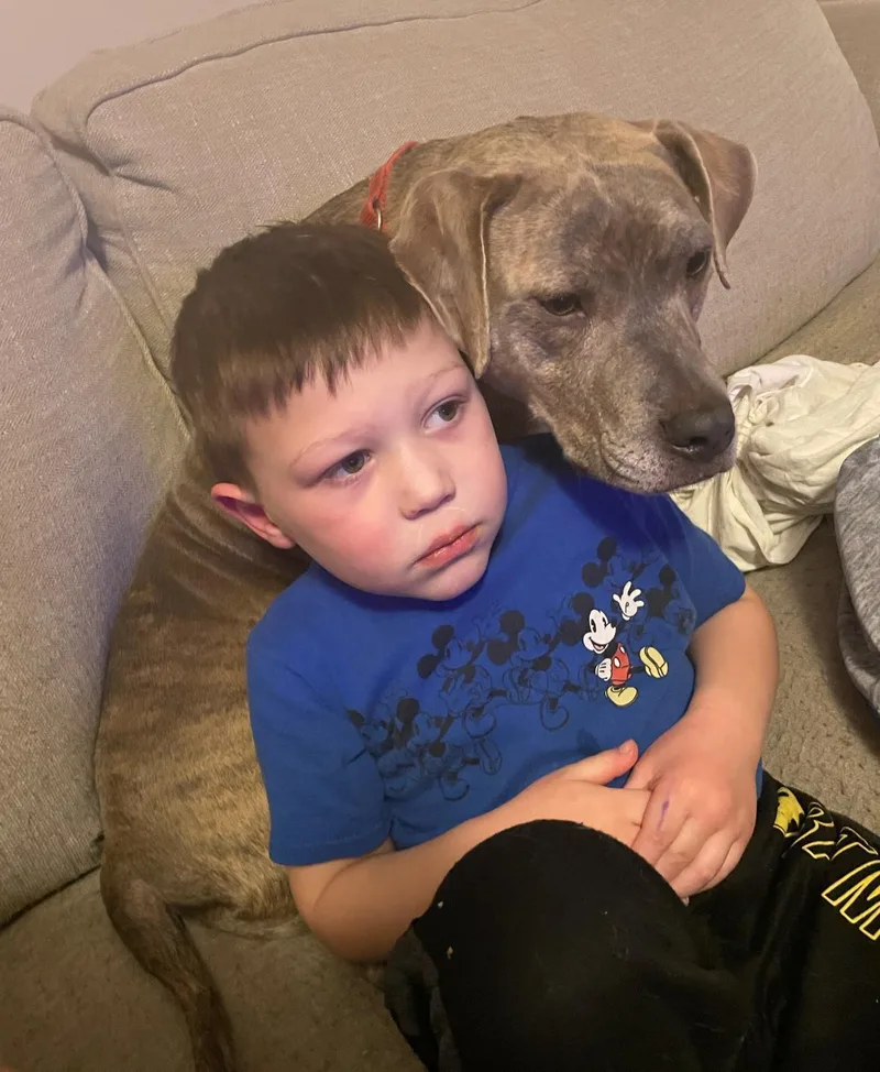 Dozer And Minni thumbnail 4