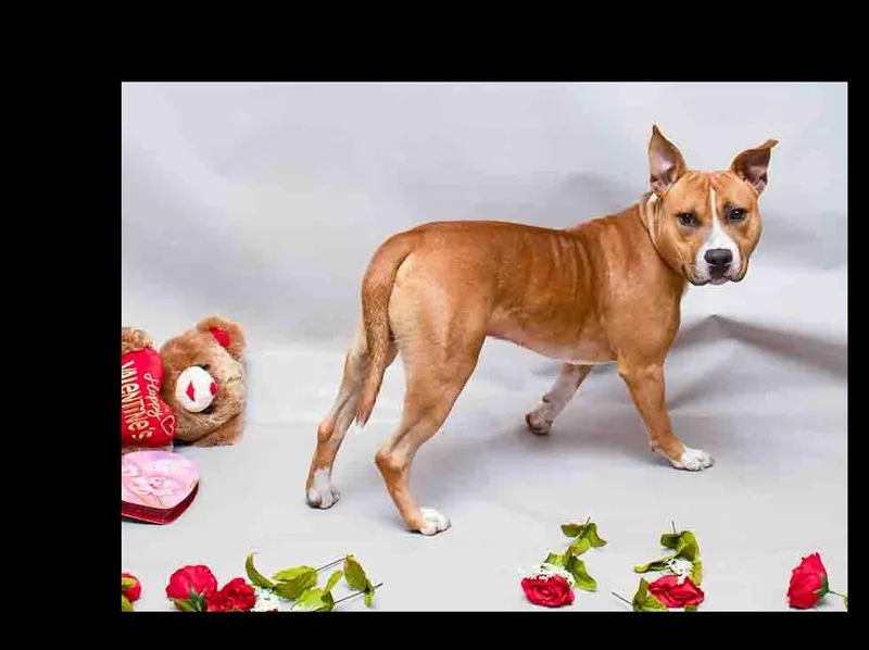 Leighton thumbnail 2