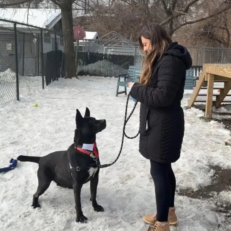 Jackbouncer. thumbnail 2