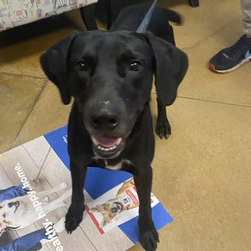 Marky Mark  T thumbnail 2