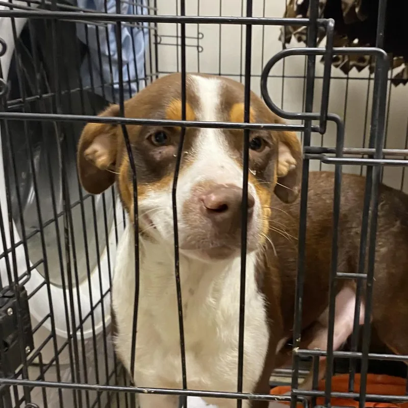 Shirley  T thumbnail 3