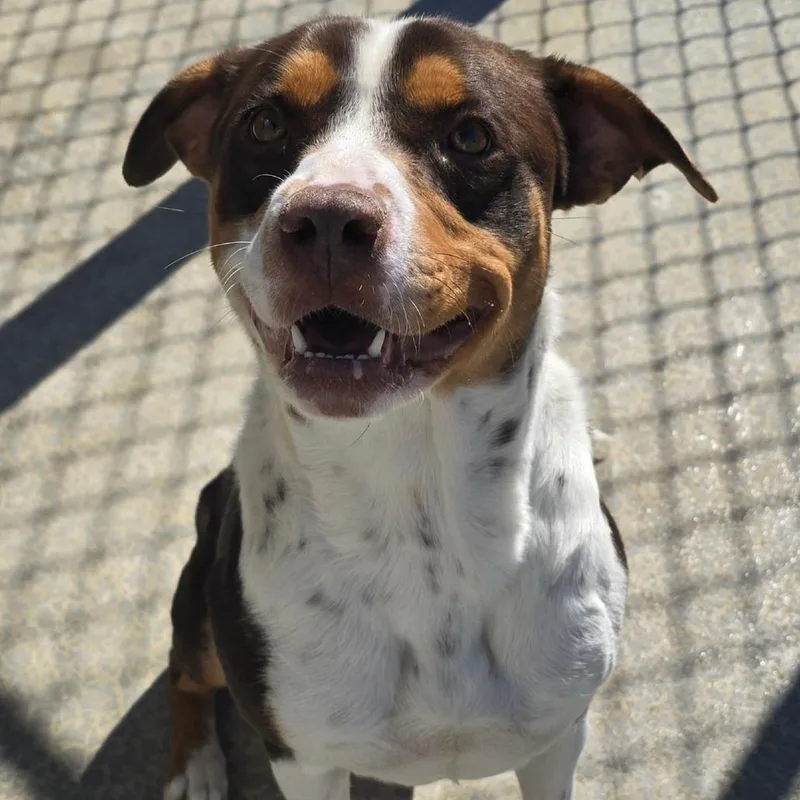 Shirley  T thumbnail 5