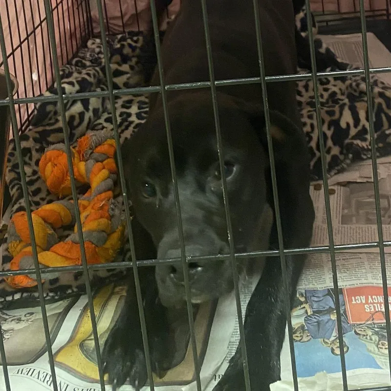 Milam  T thumbnail 3