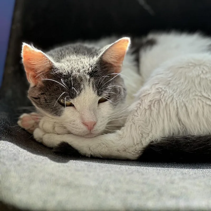 Momma Kelly thumbnail 2