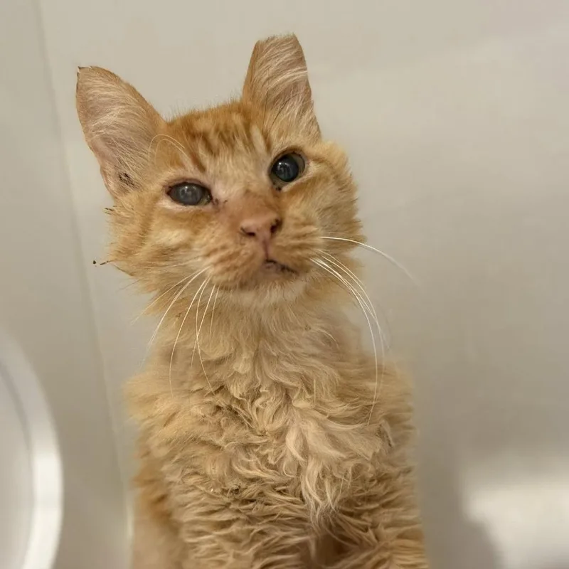 Jelly Time thumbnail 2