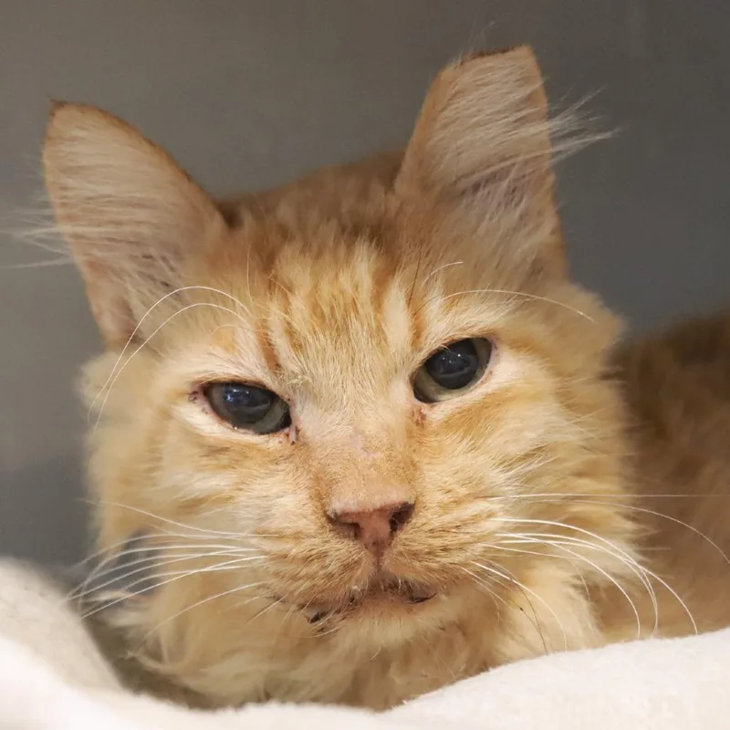 Jelly Time thumbnail 3