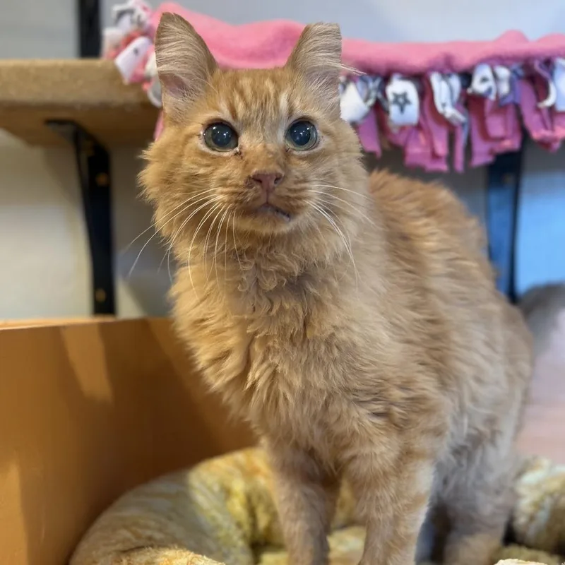 Jelly Time thumbnail 4