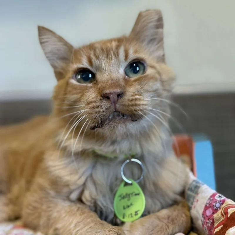 Jelly Time thumbnail 6