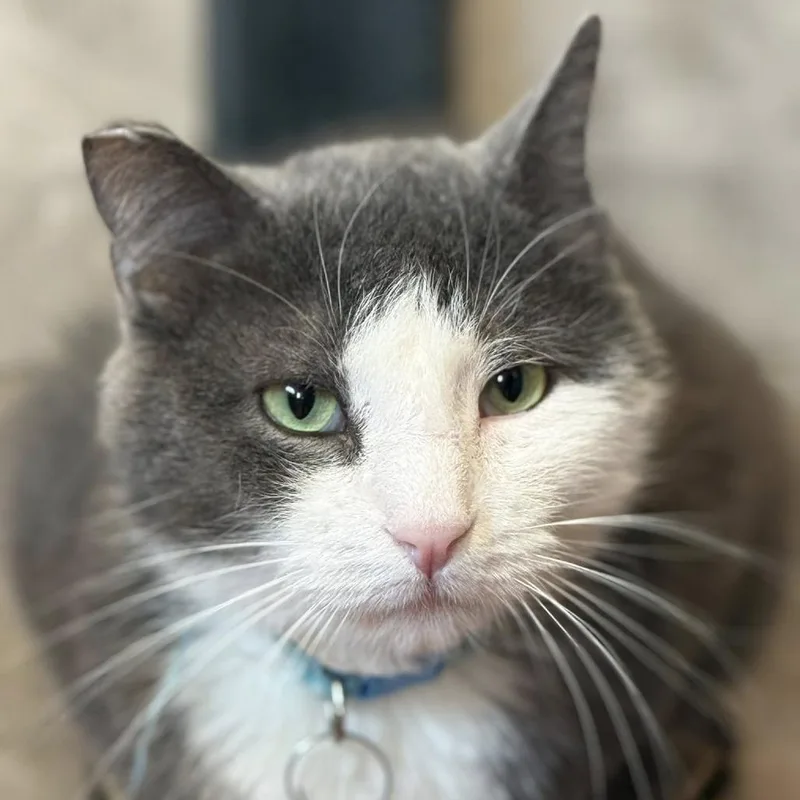 Carpe Diem thumbnail 2