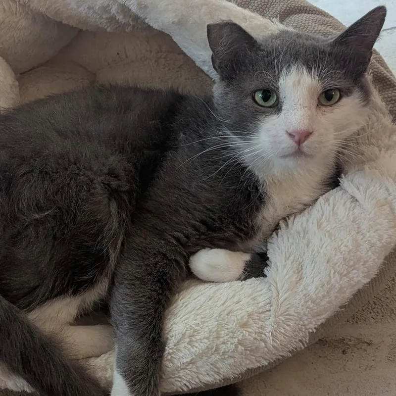 Carpe Diem thumbnail 3