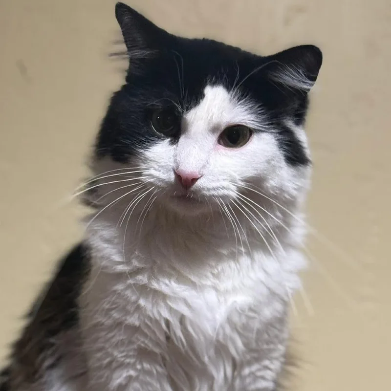 Burburin thumbnail 2