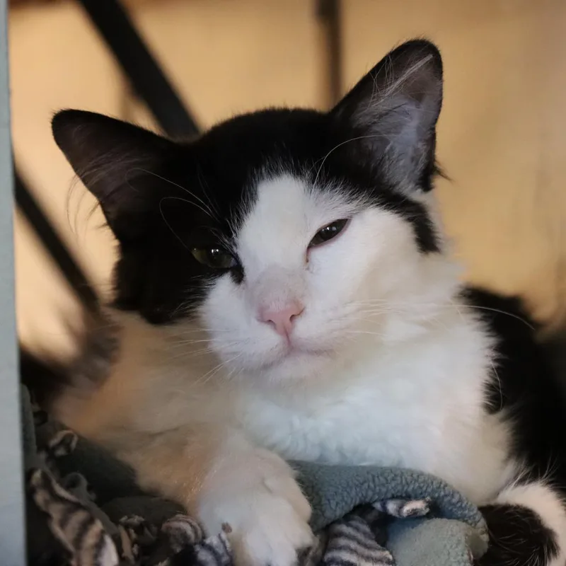 Burburin thumbnail 5