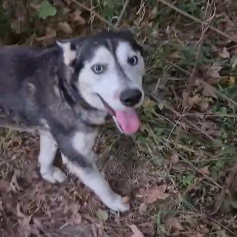 Benjamin Franklin "ben" thumbnail 5