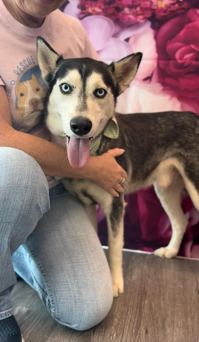 Benjamin Franklin  "ben" thumbnail 2