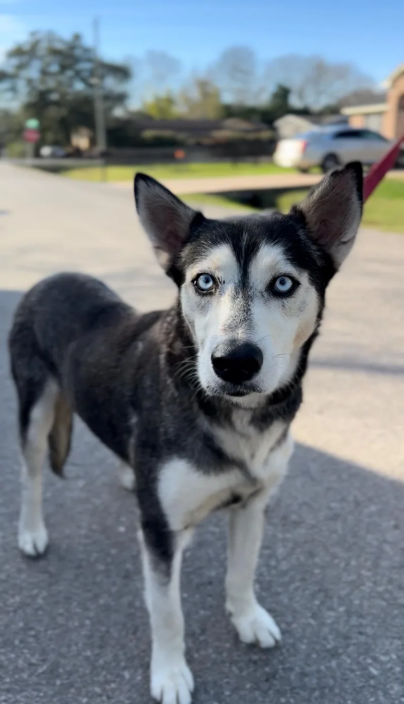 Benjamin Franklin  "ben" thumbnail 3