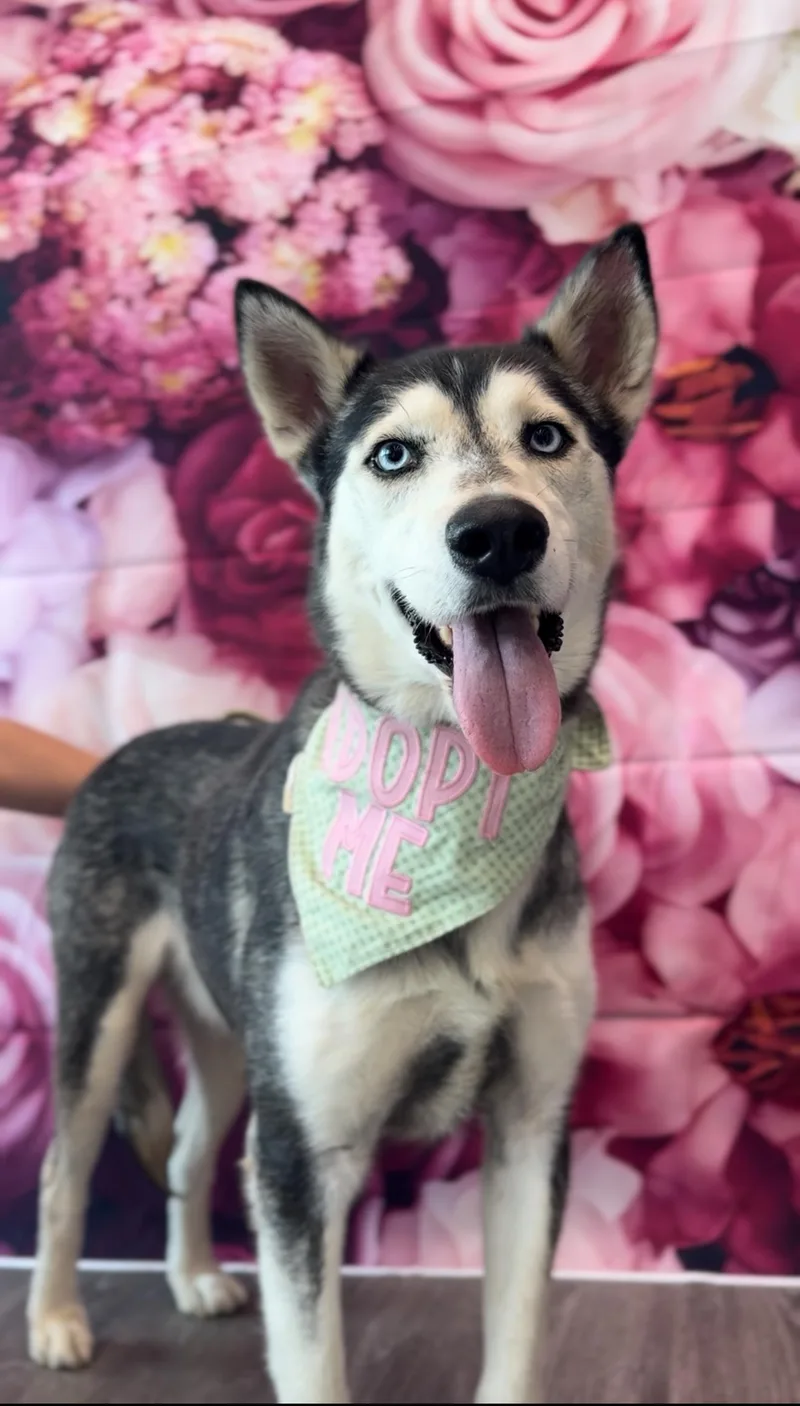 Benjamin Franklin  "ben" photo 1