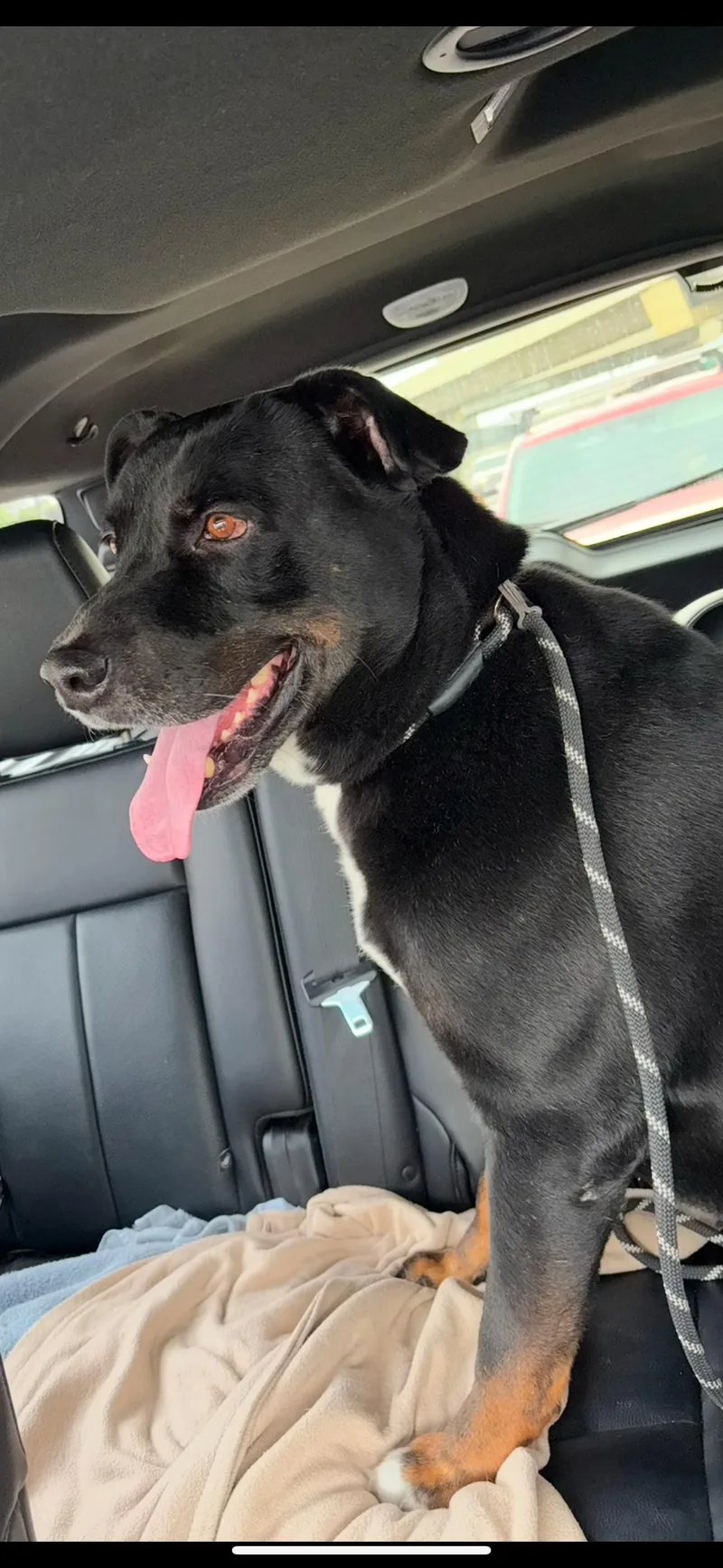 Roger Moore thumbnail 2